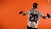 Uvamenslax GIF by Virginia Athletics