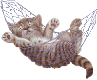 Cat Sticker