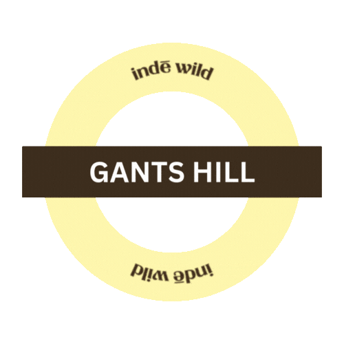 I Spy Inde Wild Sticker by indewild