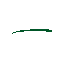 Line Underline Sticker by The Waldock Way