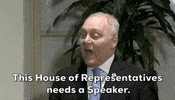 Steve Scalise House Republicans GIF by GIPHY News