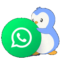 Social Media Fun Sticker by Pudgy Penguins