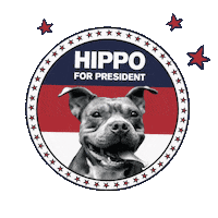 biggiesbullies rescue pitbull bullies biggies Sticker