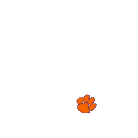 South Carolina College Sticker by Clemson University
