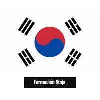South Korea Flag Sticker by Formación Ninja