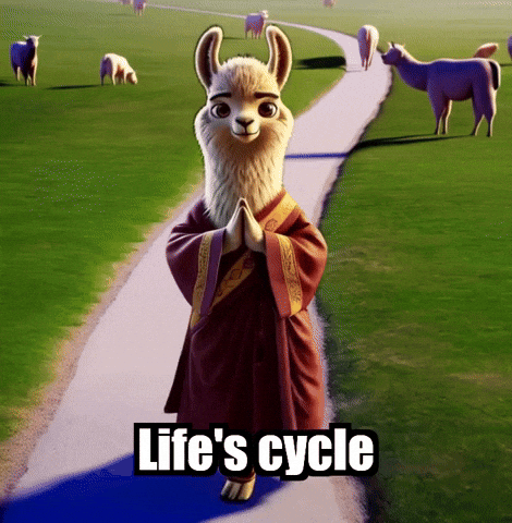 Cycle Wisdom GIF by dalaillamazen