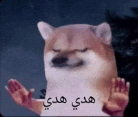 Iraq GIF by Bashar