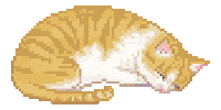 Cat Sleep Sticker