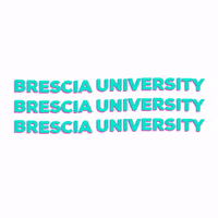Livelikeabearcat GIF by Brescia University