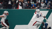 Football Nfl GIF by New England Patriots