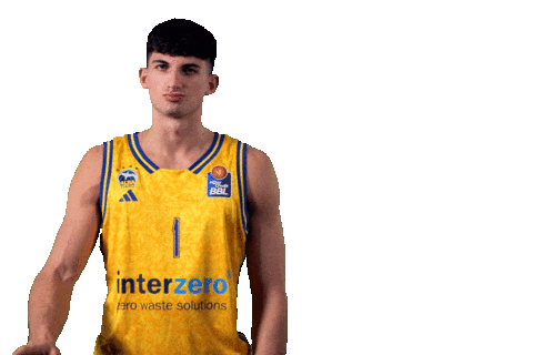 Easycredit Bbl Sticker by ALBA BERLIN