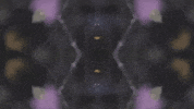 Art Film GIF by jorgemariozuleta