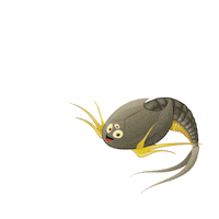 triopsking sea monkeys triops tadpole shrimps urzeitkrebse Sticker