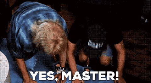 bow obey GIF