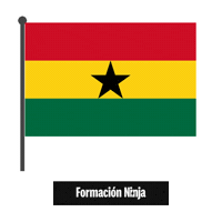 Flag Bandera Sticker by Formación Ninja