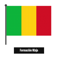 Flag Bandera Sticker by Formación Ninja
