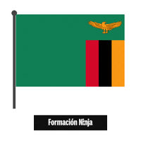 Flag Bandera Sticker by Formación Ninja