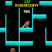 Maze 844 Mose GIF