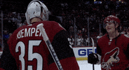 Ice Hockey Hug GIF by NHL