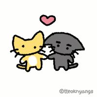 Cat Couple GIF