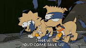 Lisa Simpson GIF by The Simpsons