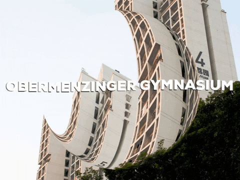 School Lol GIF by PrivatschulenPORTAL.de