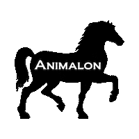 horse brushes Sticker by Animalon_Official