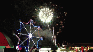 4th of july usa GIF