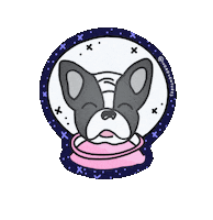 France Dog Sticker by Ivo Adventures