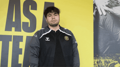 Lets Go Thumbs Up GIF by Team Vitality