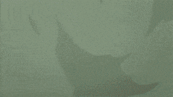 traveloregon animation oregon exaggerated slightly exaggerated GIF