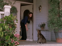 season 4 netflix GIF by Gilmore Girls 