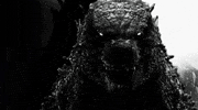 Black And White Stare GIF