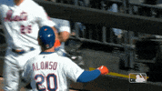 high five home run GIF by New York Mets