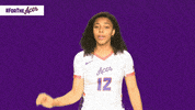 Purple Aces Evansville GIF by UE Athletics