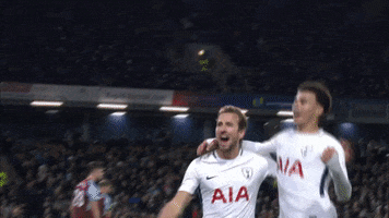 london football GIF by Tottenham Hotspur