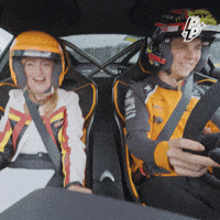 Driving Formula One GIF by Dimz Inc.