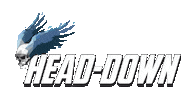 Head Down Sticker by Fly Warriors