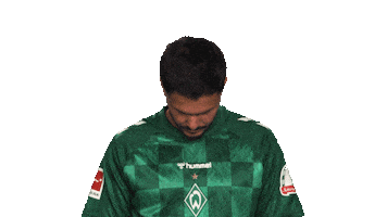 Look Up Werder Bremen Sticker by Bundesliga