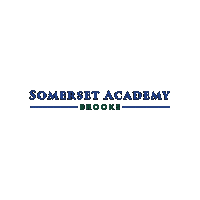 Academica Schools Sticker by Academica