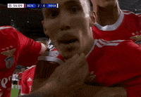 Champions League Football GIF by UEFA