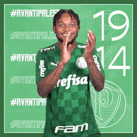 Soccer Futebol GIF by SE Palmeiras