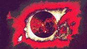Rock Music GIF by Shinedown