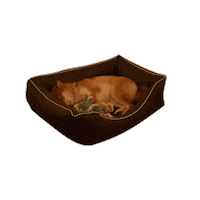 aennimoon sleepy sweet dreams shibainu sleepy dog Sticker