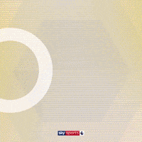 Goal Wolves GIF by skysports