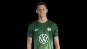 Like A Boss Deal With It GIF by VfL Wolfsburg