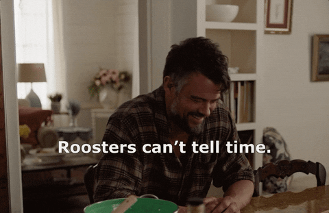 thelosthusband giphyupload laugh texas roosters GIF