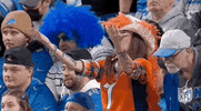 National Football League GIF by NFL