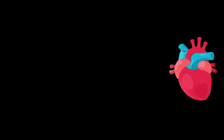 EducationTwo  GIF