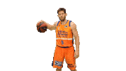 Liga Endesa Basketball Sticker by ACB
